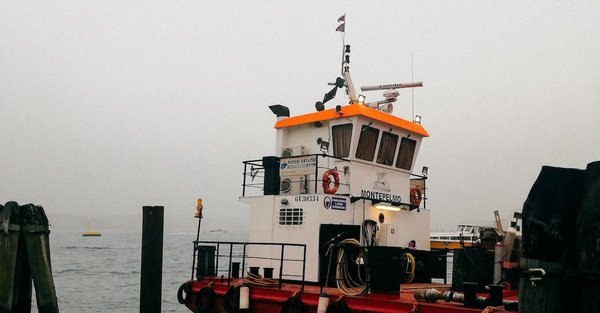 Comment définir la raison d'être ?