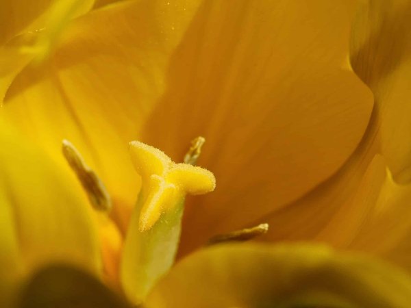 La technologie immersive dans les organisations évènementielles